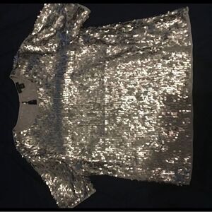 Ann Taylor Silver Sequin Top